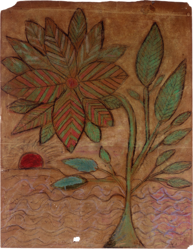 Drawing of a multilayered flower in striped pink and green with a green stem and leaves; background has lightly drawn sunset with blue waves of water and red sun.