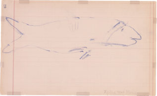Thin, blue-pen outline of a fish on ledger paper.