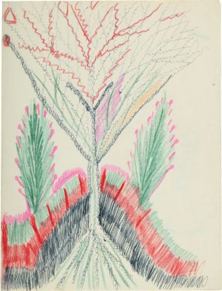 A drawing with short straight lines in black, red, green and pink below a Y-shape of swirled lines.