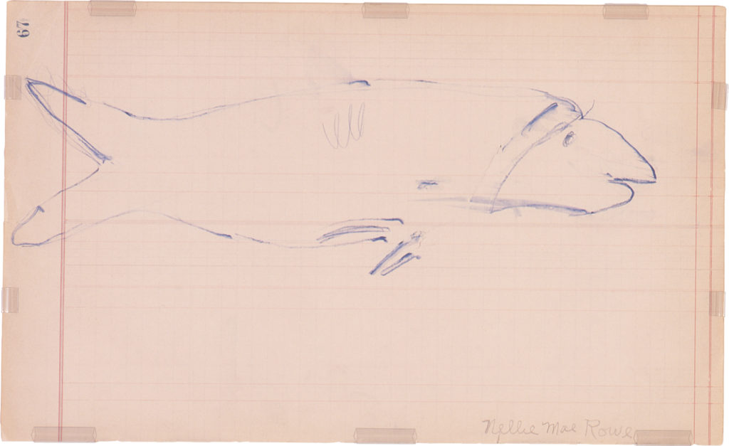 Thin, blue-pen outline of a fish on ledger paper.
